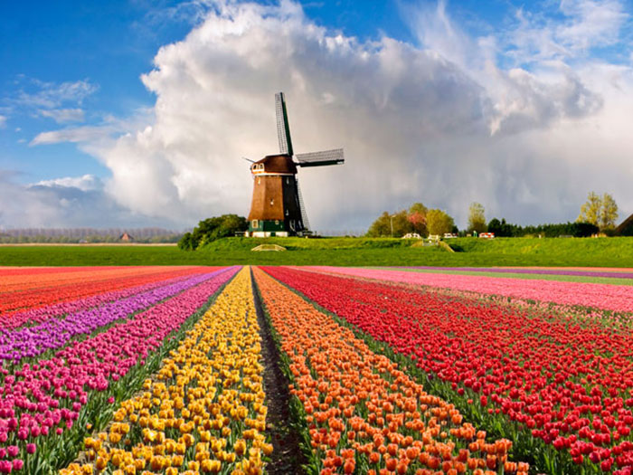 The-Netherlands-Keukenhof-Flower-Garden