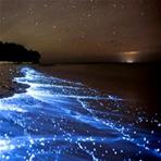 ساحل شب تاب چابهار رویایی که به واقعیت تبدیل شده است