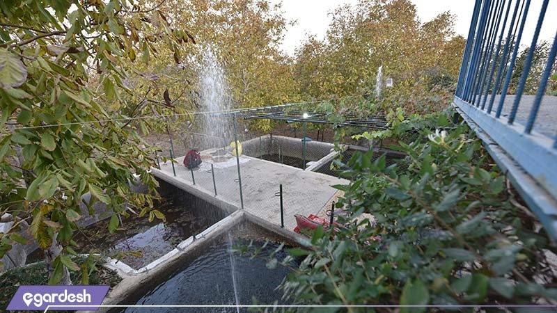 نمای بالکن اقامتگاه بوم گردی شاهدان