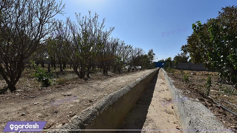 باغ اقامتگاه بوم گردی شاهدان