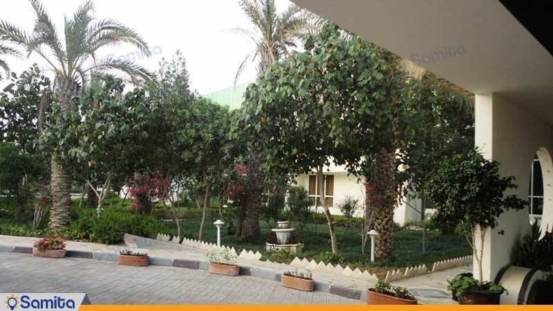 ساحة فندق لوتوس